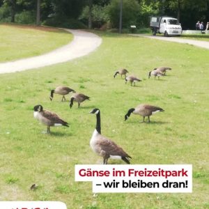 Sauberer Freizeitpark statt Gänsekot – wir bleiben dran!