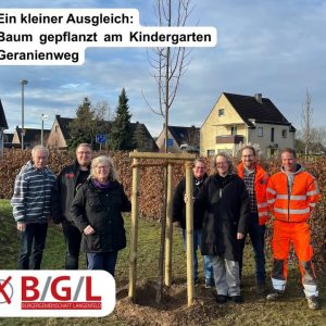 Ein Baum als kleiner Ausgleich 🌳